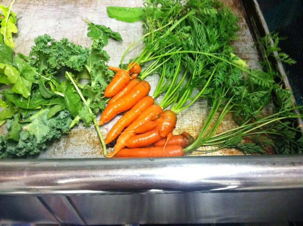 A Bountiful School Garden