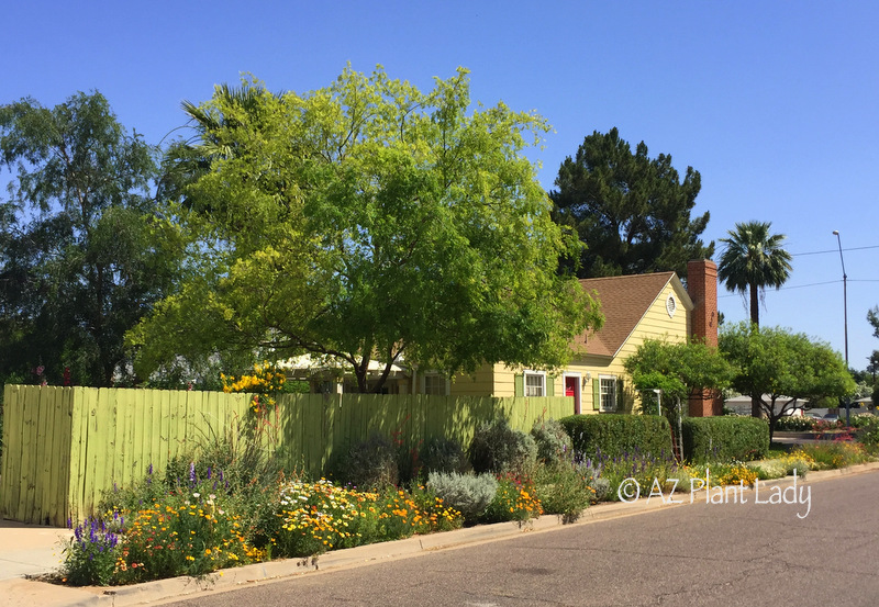 hidden garden in Encanto district in downtown Phoenix