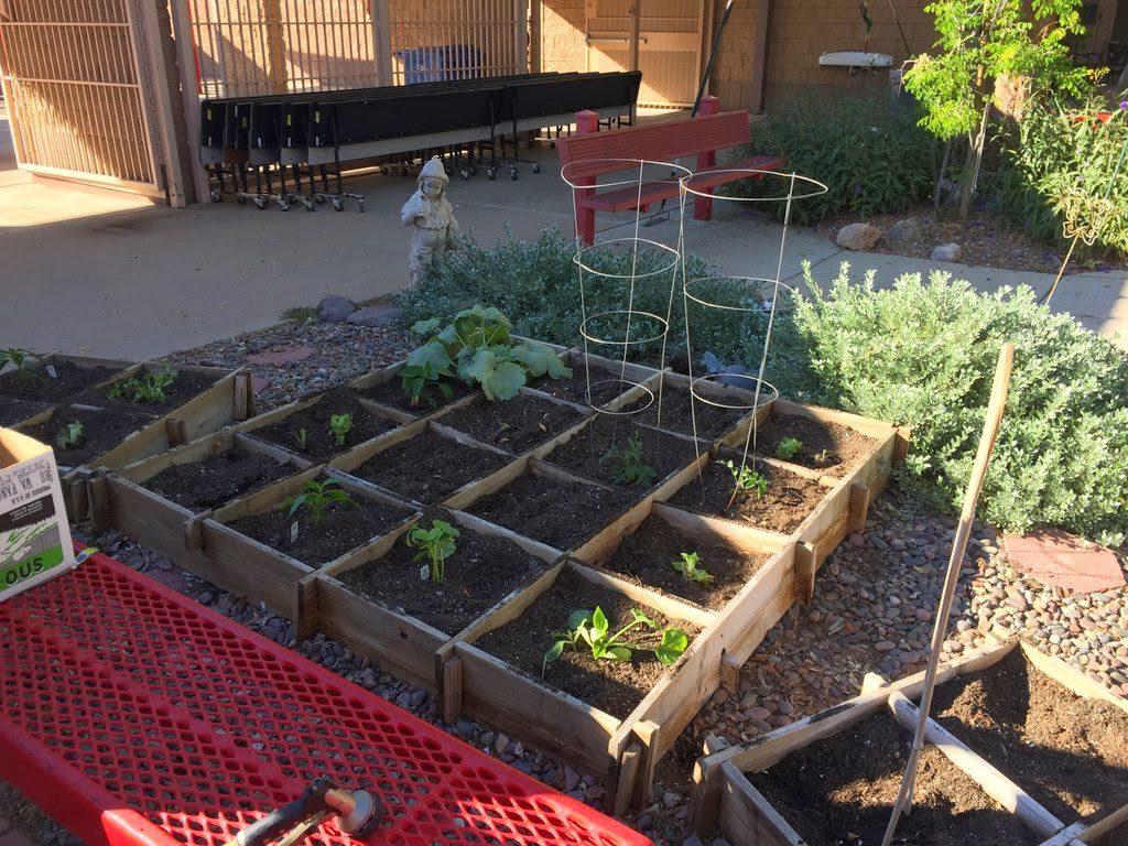 vegetable beds