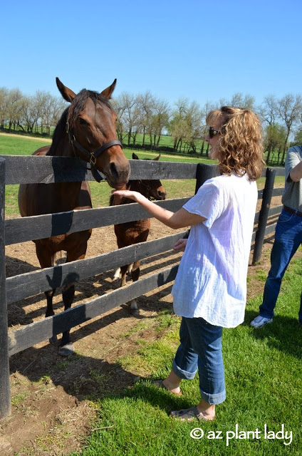 Lexington, Kentucky