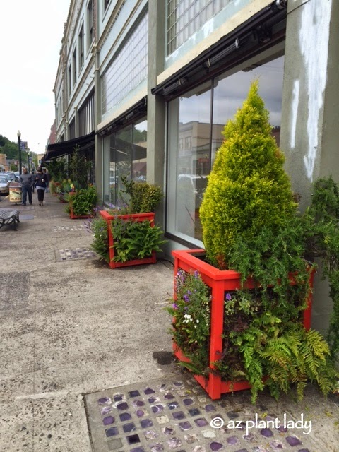 Planters decorate the face of an empty building in downtown Astoria, Oregon