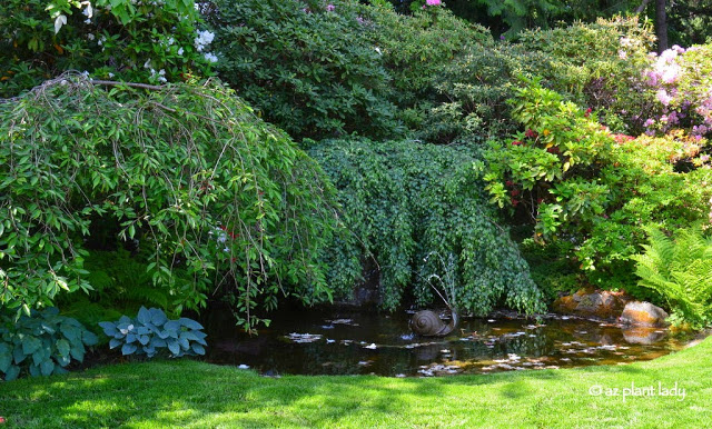 Road Trip Day 7: The Beauty of Butchart Gardens