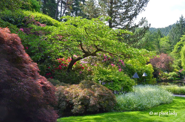 Road Trip Day 7: The Beauty of Butchart Gardens