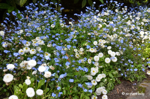 Sunken Garden