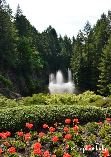 Sunken Garden