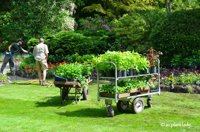 Road Trip Day 7: The Beauty of Butchart Gardens