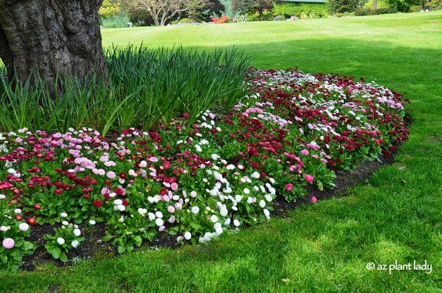 Sunken Garden