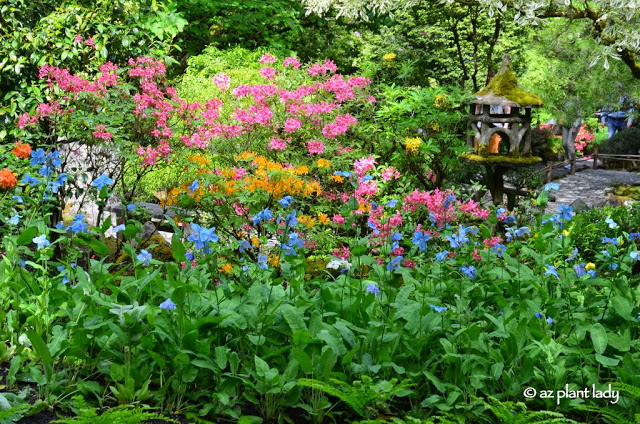 Road Trip Day 7: The Beauty of Butchart Gardens