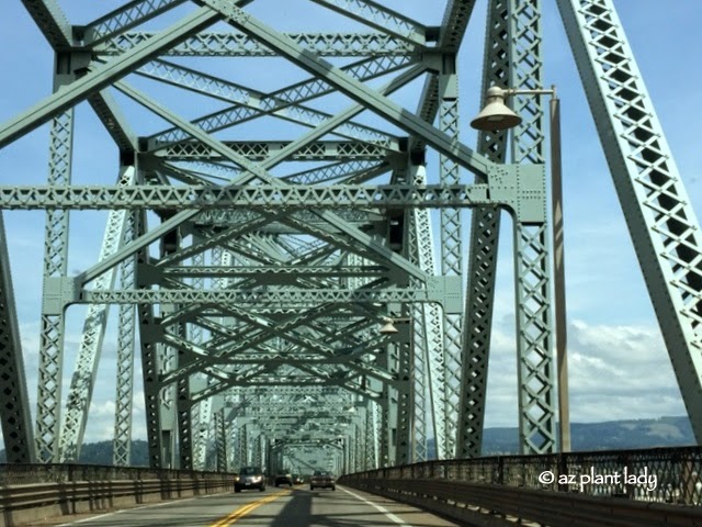 Columbia River into Washington.