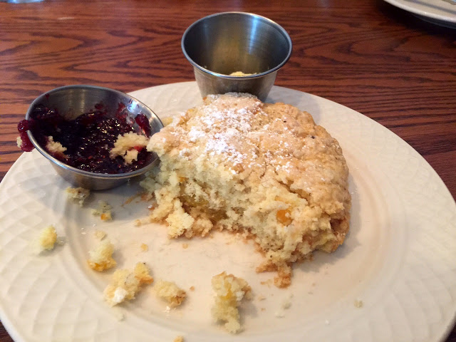 giant apricot scone