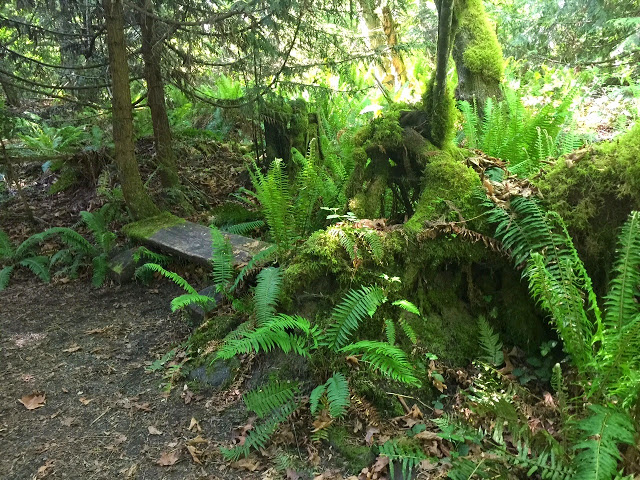 Olympic National Forest