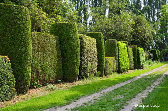 LaConner Flats Farm & Garden