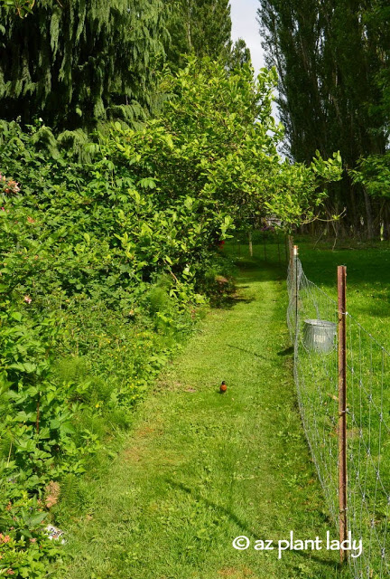 LaConner Flats Farm & Garden