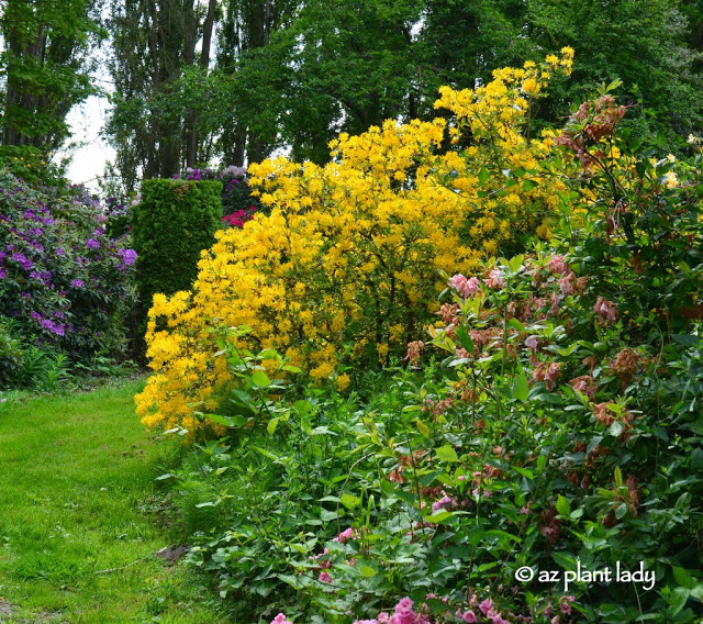 LaConner Flats Farm & Garden