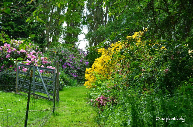 LaConner Flats Farm & Garden