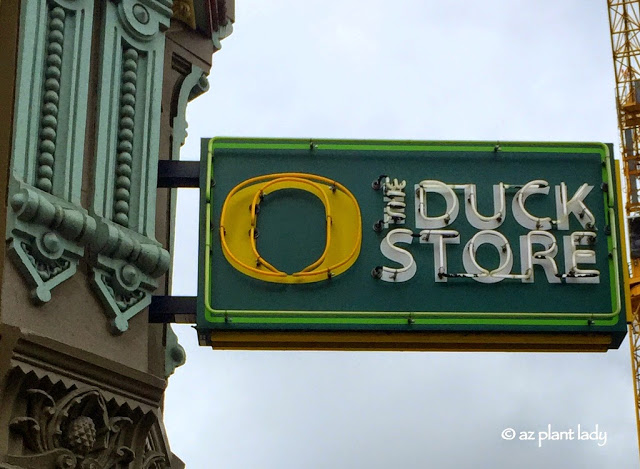 Duck Store