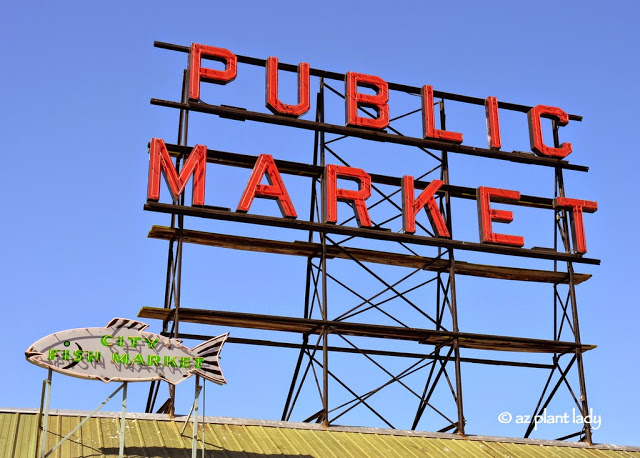 fresh seafood, Pike Place Market 