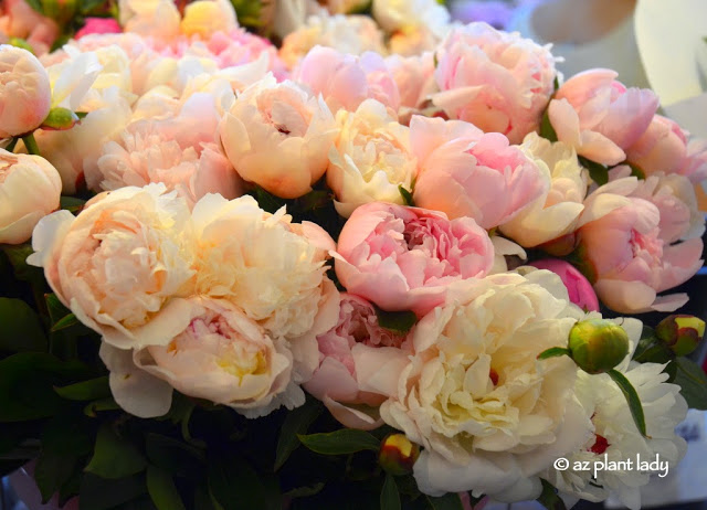 flower stalls.