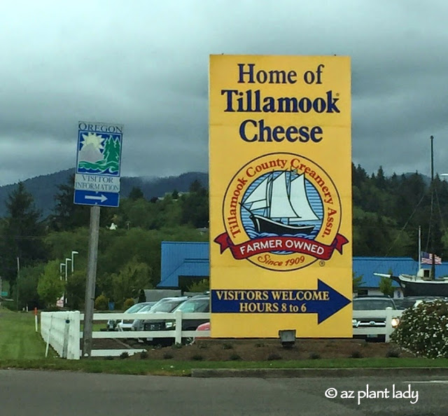 home of Tillamook Cheese