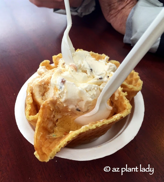Portland Oregon Saturday Market, Ducks and Cheese