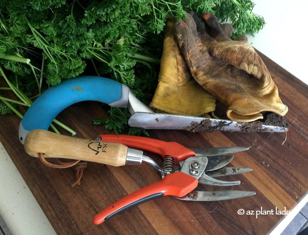 clean garden tools and spotless gloves