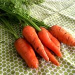 Vegetable_Harvest_The_Dirty_Truth_Carrots-002-1