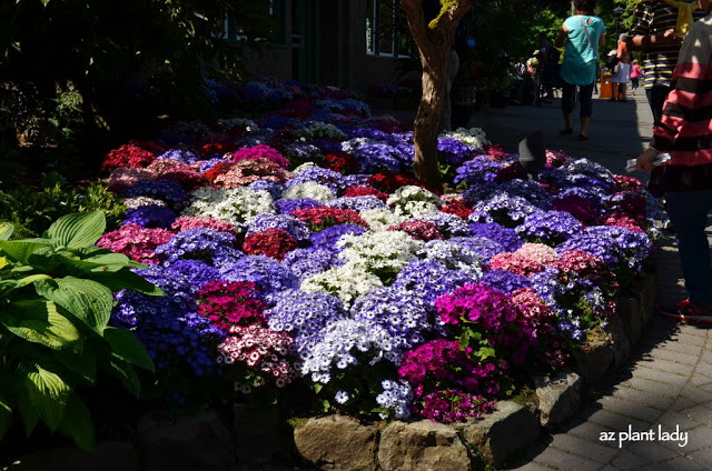 Road Trip Day 7: The Beauty of Butchart Gardens