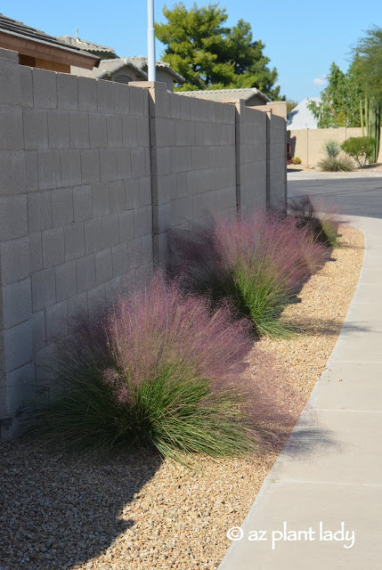 flowering plants 