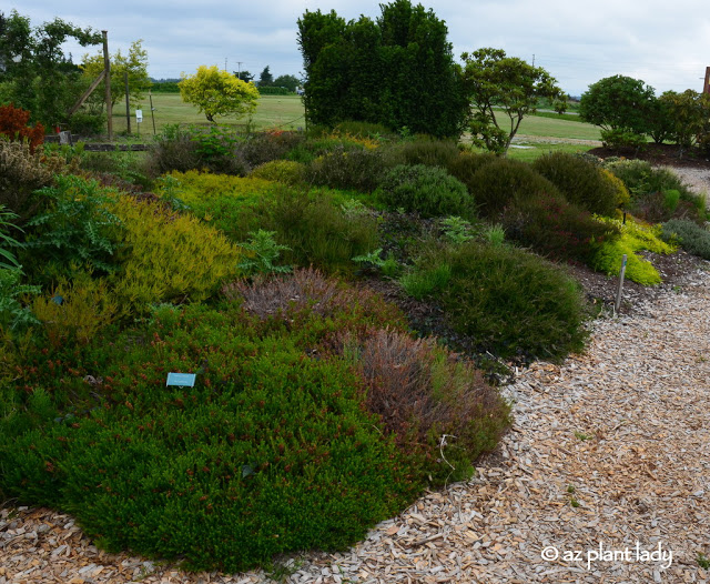 Heather Garden