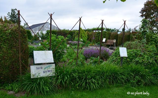 The Herb Garden