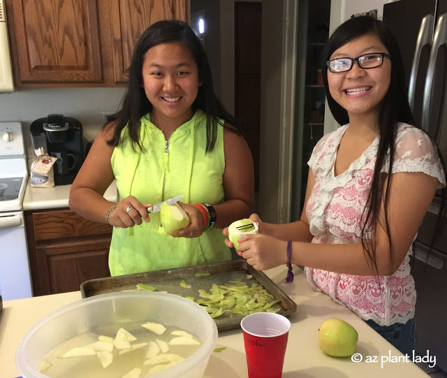 making an apple pie