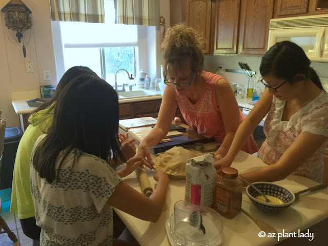 A Bushel of Apples, a Pinch of Sugar and a Handful of Teenagers