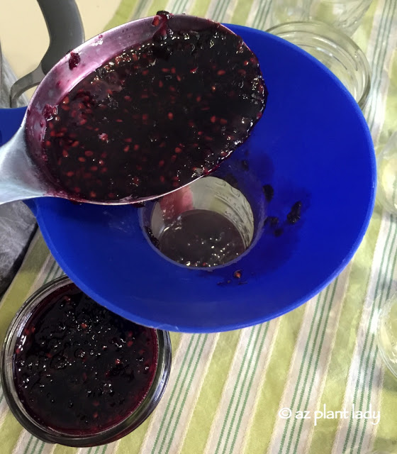 blackberry jam 