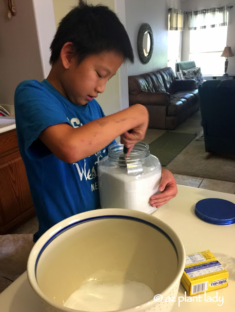 Blackberries, Jars and a Young Helper