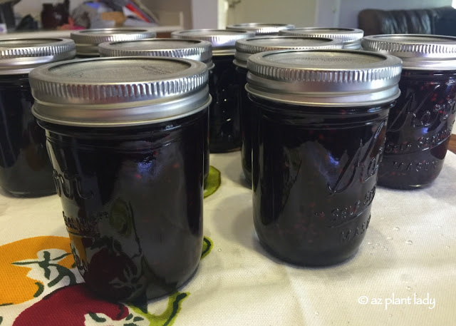 blackberry jam 