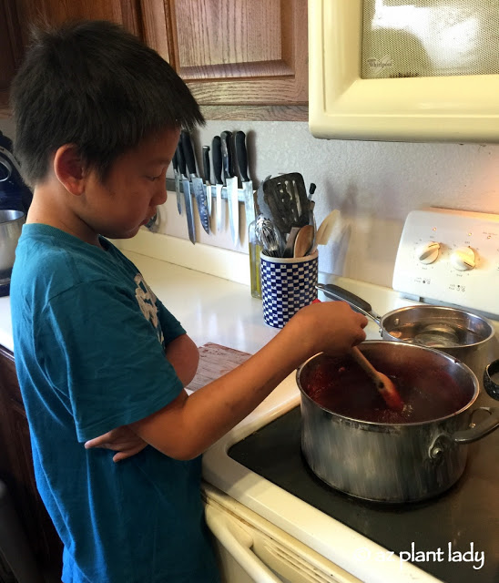 Blackberries, Jars and a Young Helper