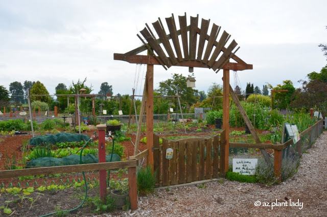 Themed Gardens: Children's, Enabling, Native & Vegetable