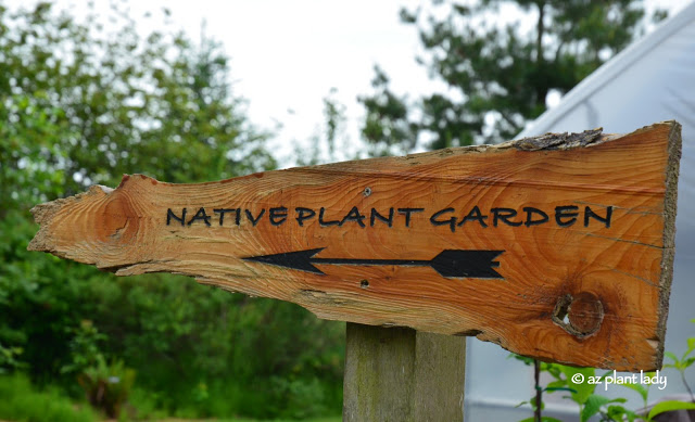 Native Plant Garden