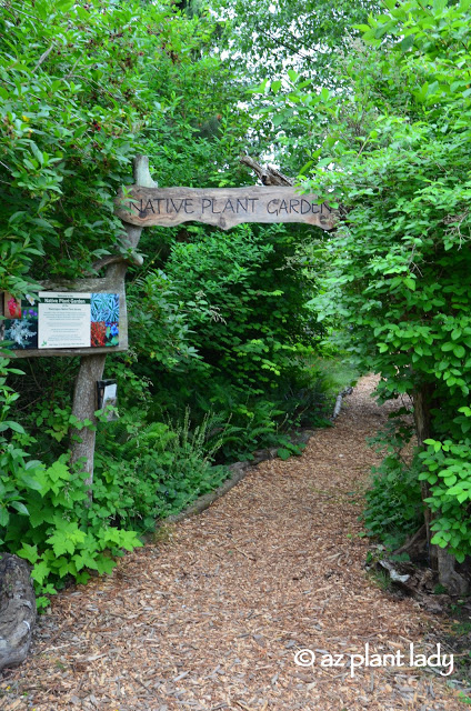 Native Plant Garden