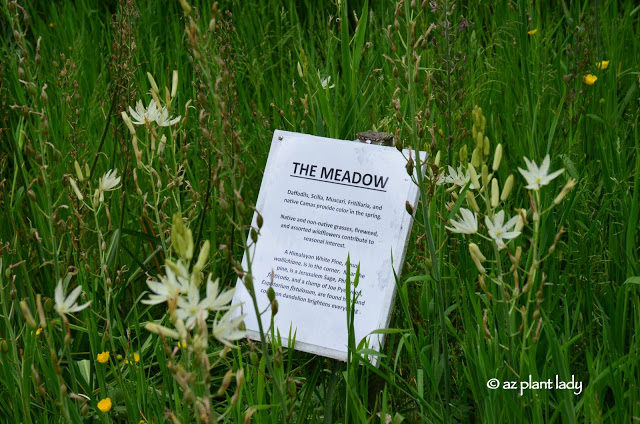 Meadow Garden.