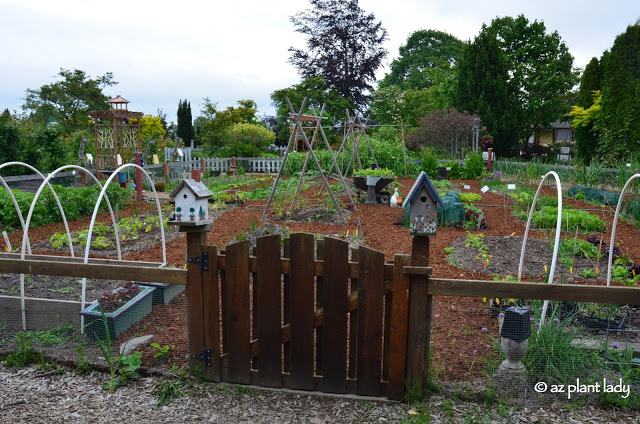 Vegetable Garden.