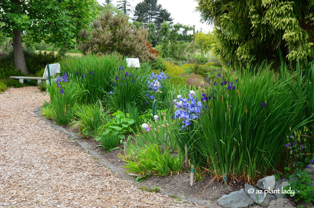 The Discovery Garden