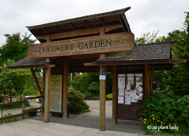 The Discovery Garden