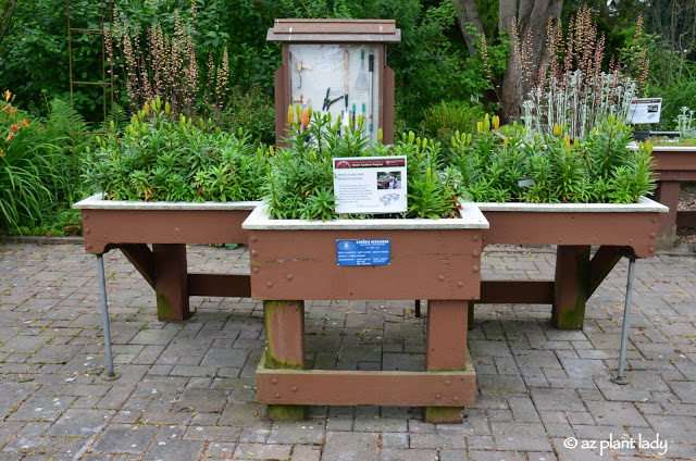 Themed Gardens: Children's, Enabling, Native & Vegetable