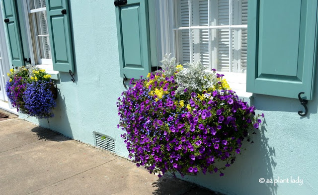 Hanging containers