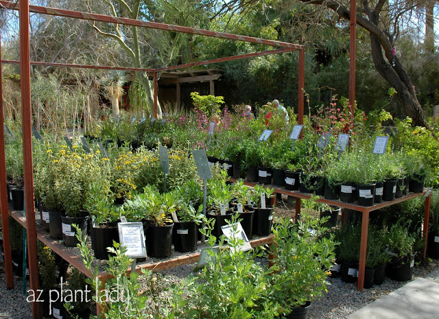 local Plant Nursery