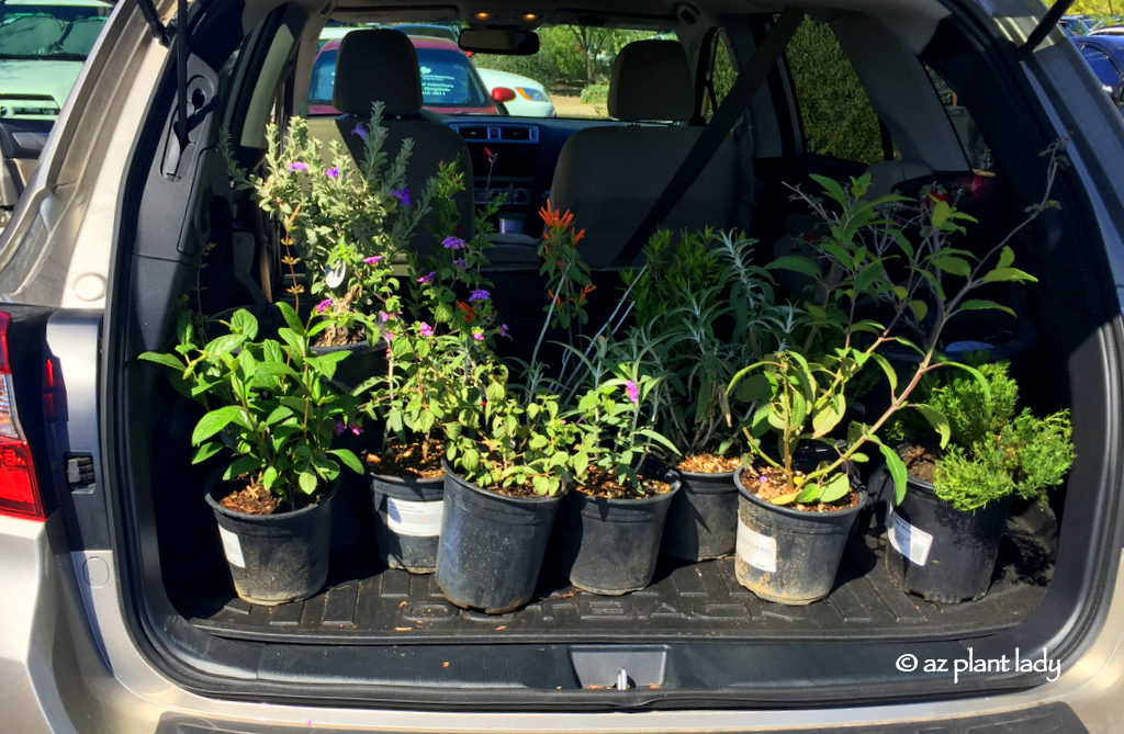 locally owned Plant Nursery