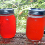 DIY In The Garden: Making Fruit Vinegar