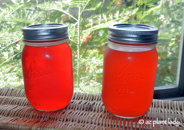 DIY In The Garden: Making Fruit Vinegar