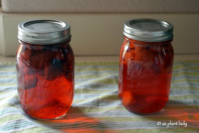 Making Fruit Vinegar